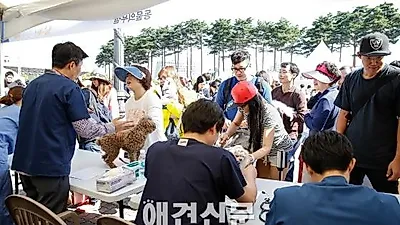 제1회 동물보호문화축제 성공리에 개최