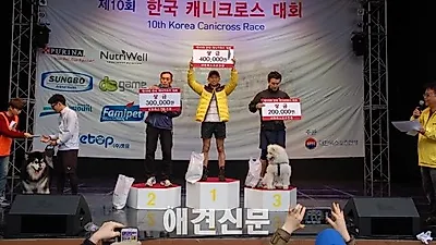 뛰면서 애견과 교감하는 국제대회, 일산에서 열려...