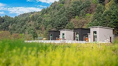 넓은 운동장과 프라이빗한 수영장이 있는 서울근교애견펜션, '화이트몽'