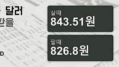 25일 싱가폴 달러 살때 843.51원, 팔때 826.8원 ▲0.06%상승