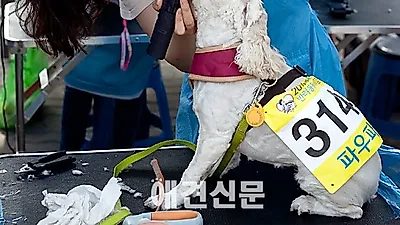 [포토] 미용봉사자의 섬세한 손길