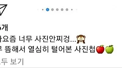 트와이스 지효, SNS 게시물 화제 "나 요즘 너무 사진 안 찍어"