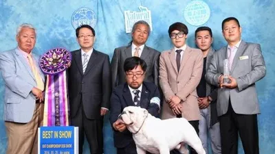2014 KKF 챔피언쉽 도그쇼 및 제2회 KKF 훈련사 자격검정대회 성공 개최