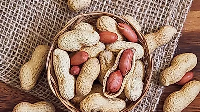 땅콩 볶기·조림과 월남쌈용 땅콩소스 만드는 법