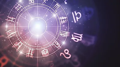 내 반려견은 무슨 별자리? 점성술로 보는 개의 성향