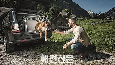 스위스 애완용품 사회적 기업 4﻿﻿pets﻿﻿ , 마케팅 담당 데이비드 피셔를 만나다.
