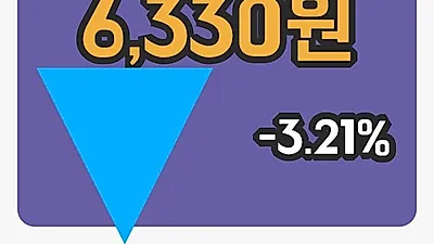 가비아 3일 6,330원 장종보고