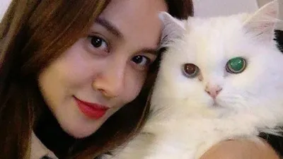 아이비, 신호등처럼 알록달록 빛나는 반려묘 눈망울