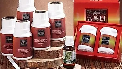 상락수, 항산화효과 도움이 되는 차가버섯, 제대로 섭취 노하우