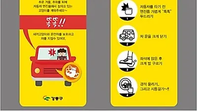 강동구 '모닝노크' 캠페인으로 겨울철 길고양이 보호