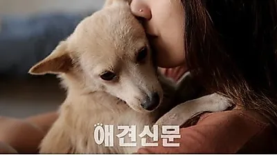 소길댁 이효리의 '반려견 모카 이야기'
