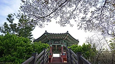 대자연이 어우러진 '속초 가볼만한곳', 먹방 여행 꿈꾼다면?…코스는 여기!