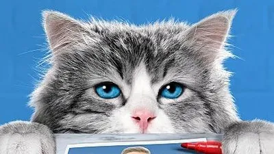 영화 '미스터 캣' 억만장자 CEO와 고양이 영혼이 바뀌다