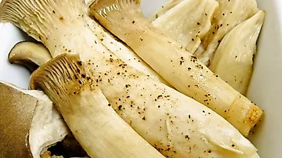 송이버섯 못지 않은 맛있는 '새송이버섯', 새송이버섯 효능과 손질법·보관법
