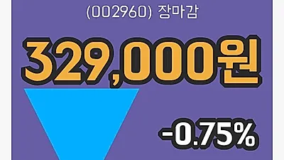 국내주식마감한국쉘석유 10일 329,000원 마감