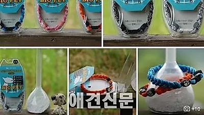 6차 애완용품 체험단 "바이오 펫 발란스 건강목걸이"