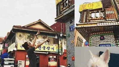 윤세아, 반려견에 남다른 애정 "기다려 내 사랑"