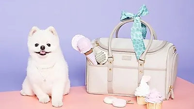 반려동물과 함께하는 행복한 라이프&트래블 스타일을 위한 브랜드, '밀리옹'