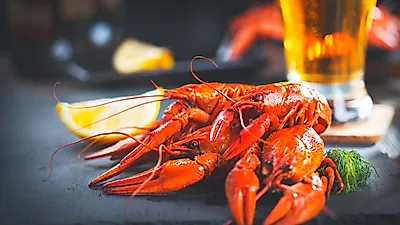 '나혼산'부터 '장첸'까지, "늬 아이먹니?" 매콤한 마라롱샤, 맛집·먹는법·만들기 총집합