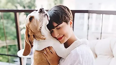 [기획] 버려진 동물, 사라진 책임…동물등록제 10년, 무엇이 달라졌나