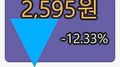 앤씨앤 5일 마감가 2,595원, 전일대비 -12.33% 변동..