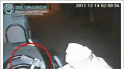 승려, 진돗개 도끼만행사건 경찰 전담팀 구성 수사