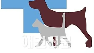 설 연휴 後 동물병원, 평소보다 환자 2배↑