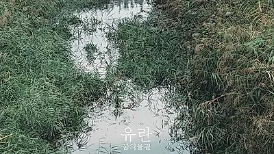 작곡가 유란, 24일 EP앨범 '꿈의 물결' 발매... 오는 13일 단독공연 개최