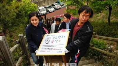 장수마을 길고양이 급식소 설치 시작  "세상은 동물과 사람이 함께 사는 곳"