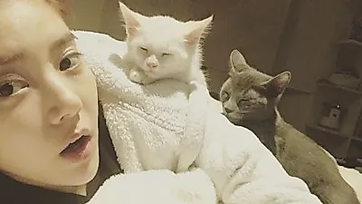 손담비, 반려묘 두마리와 여신 포스