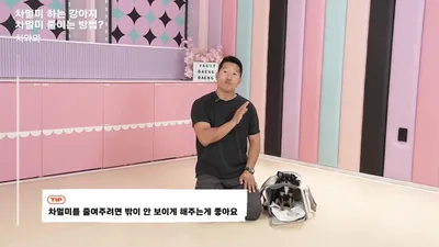 강형욱의 치와와 교육법, 차멀미 줄이는 방법과 겁 많은 강아지 산책 훈련법
