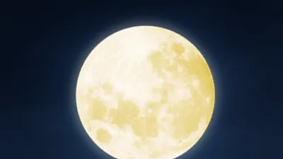 [지방쓰는법] 추석 연휴 제사 지방 '현고학생부군신위' 알아두면, 추석 차례상차림 시간 절감!