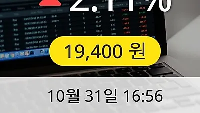 아이디스 31일 19,400원