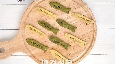 복날에 만드는 반려동물을 위한 홈메이드 쿠킹