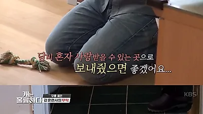 `개는훌륭하다` 코비에 강형욱 센 조언…누리꾼 "역대급 노답"