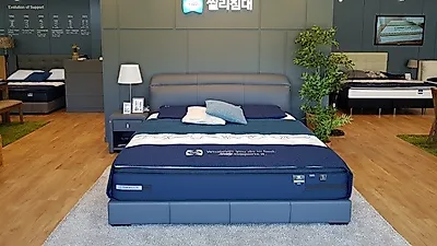 씰리침대 137주년 기념 씰리매트리스' 에일레 99만원' 행사 진행하는 일산식사점