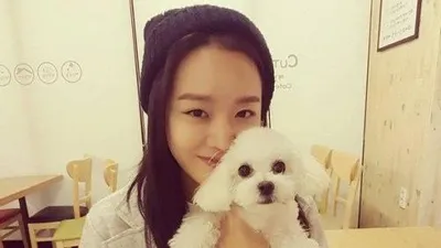 신혜선 반려견 이찌, 인형같은 비주얼