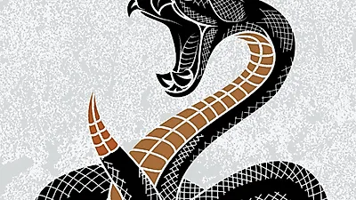 [꿈해몽] 기분 묘한 '뱀꿈', 흉몽일까?..'고양이꿈'부터 '호랑이꿈'까지 동물 꿈해몽 모음