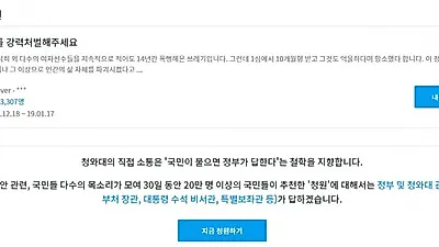 제도 단점 보완해 '청와대 국민청원 시즌2' 실시? 청와대 국민청원 게시판, 악용으로 취지 벗어나…