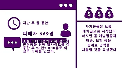 팬데믹 악용한 ‘반려동물 분양 사기’ 늘어