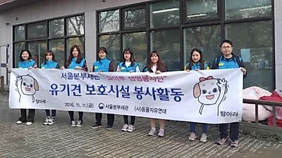 관세청 '탐마루 생명봉사단', 유기견 보호시설 봉사활동 진행