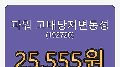 파워 고배당저변동성 6일 마감가 25,555원