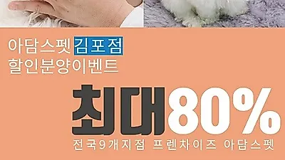 김포, 일산, 파주 강아지 고양이분양 '아담스펫 김포점', 포메라니안, 말티즈 전국 할인분양이벤트 진행 중