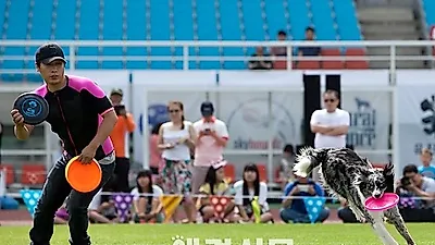 [포토] 스카이하운즈 세계챔피언쉽 한국대회