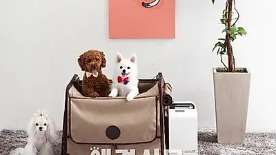 펫 가전 전문 ﻿﻿'﻿﻿붐(VUUM)﻿﻿'﻿﻿, 반려동물 위한﻿﻿ ﻿﻿펫케어시스템﻿﻿ ﻿﻿출시