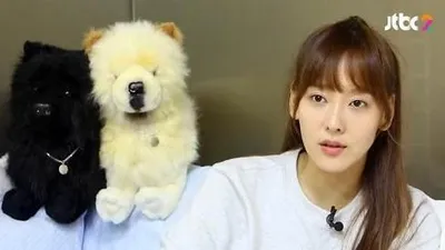 '연예반장' 다나, 강아지 집짓기 도전 '애견사랑'