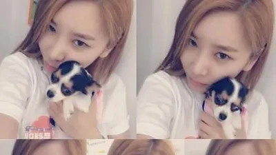 제아, 손바닥만한 강아지 안고 '귀요미 5종' 셀카 공개