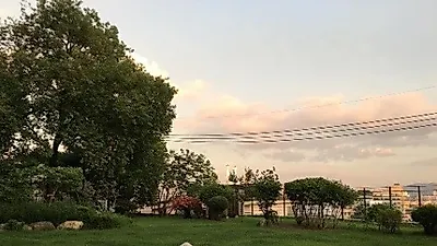 엄지원, 반려견과 즐거운 잔디밭 산책