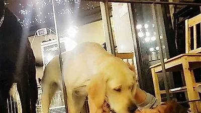 비투비 이민혁, 강아지와 깜찍 뽀뽀샷 "큰 멍뭉이 츄"