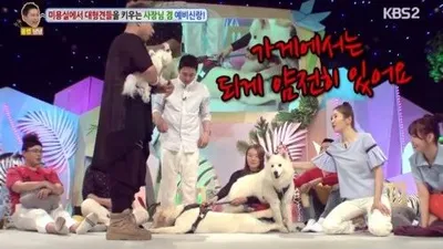 토크쇼 '안녕하세요', 개에 빠진 남편 좀 말려주세요